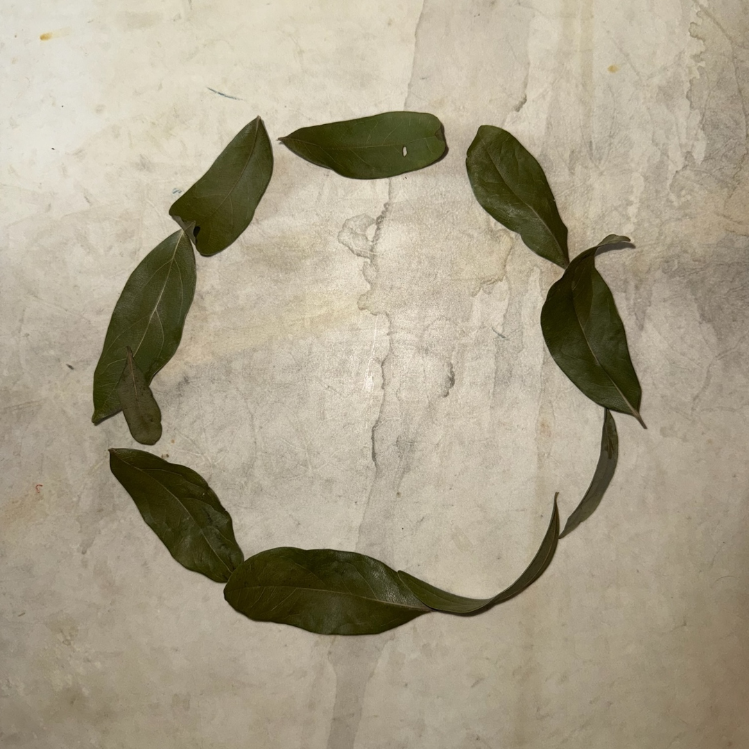 Slow Decline single artwork